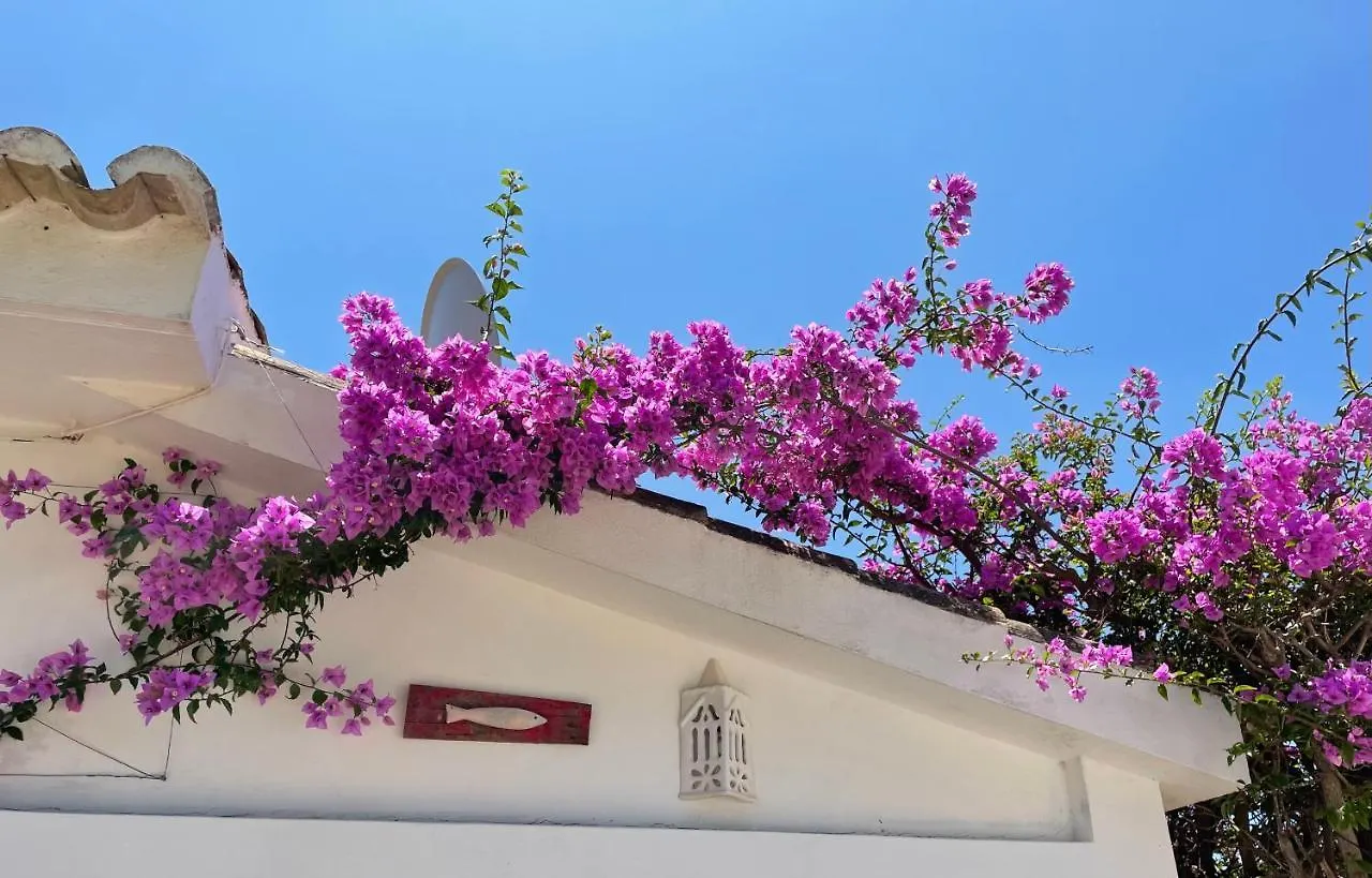 Charming Villa With Heated Pool Near Sandy Beach, Hiking, Golf And Wineries Luz Portugal
